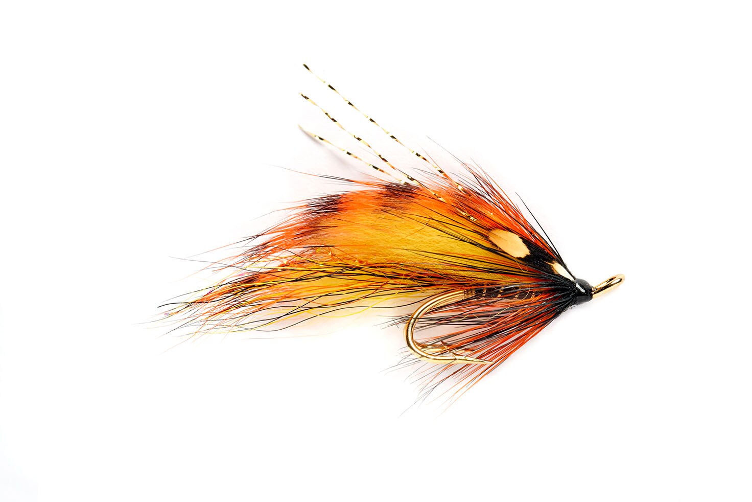 Tiger Back Willie Gunn