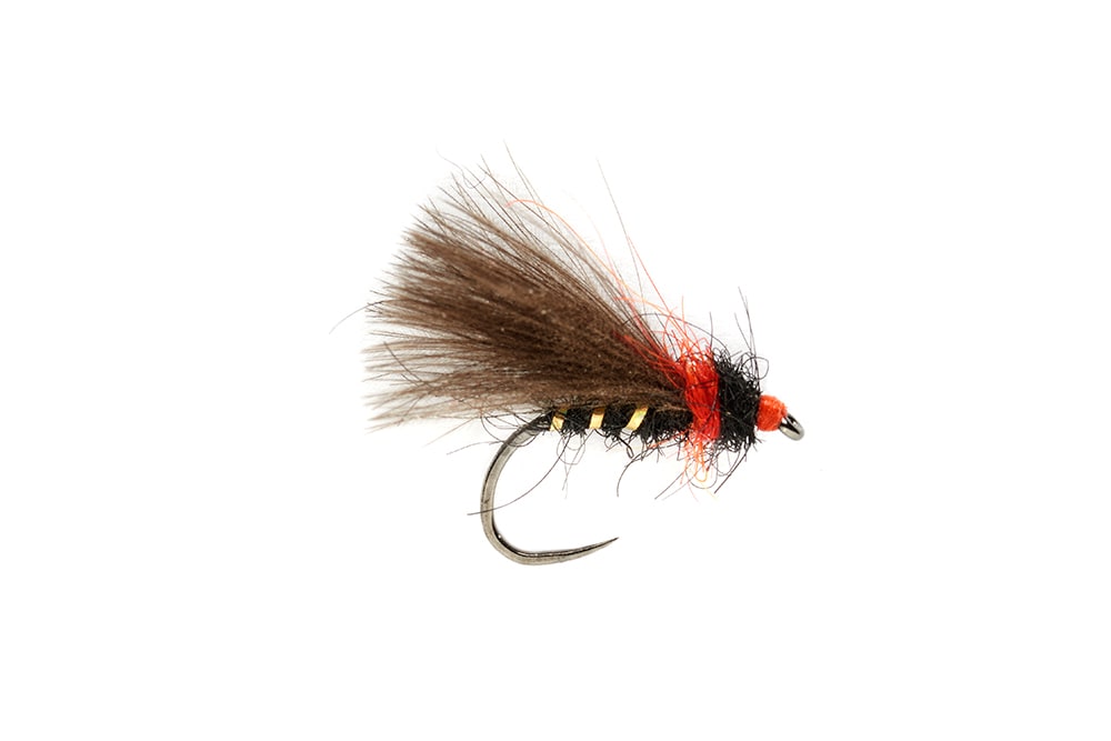 Roza's Bibio Caddis Barbless