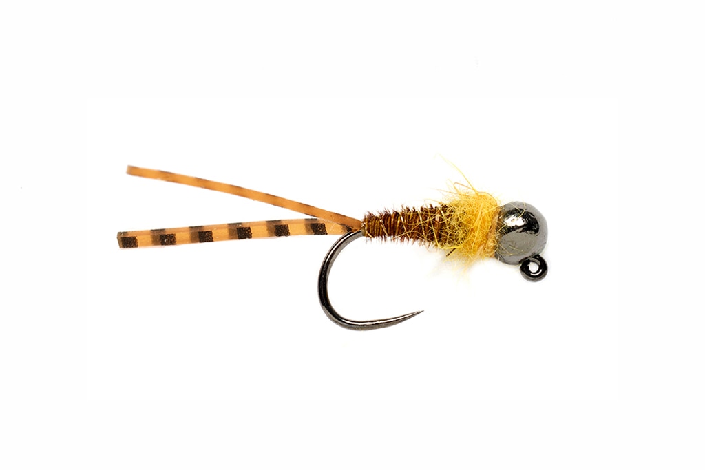 Flagler's Euro Golden Stone