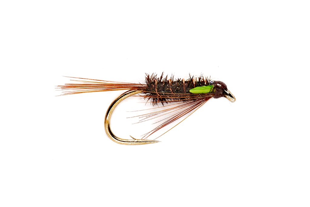 Green Cheeked Diawl Bach