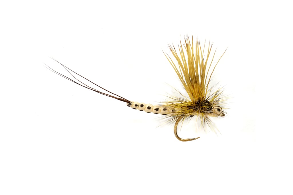 Mohican Mayfly Small Male Barbless