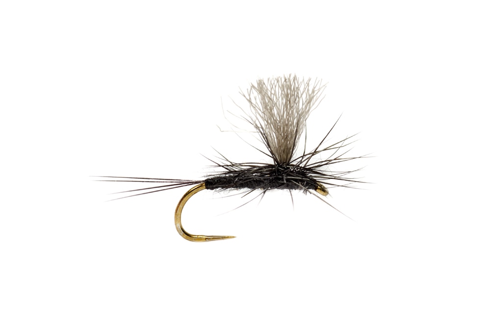 Fly Dry Barbless IRON BLUE DUN (14-16-18 - Foto 4