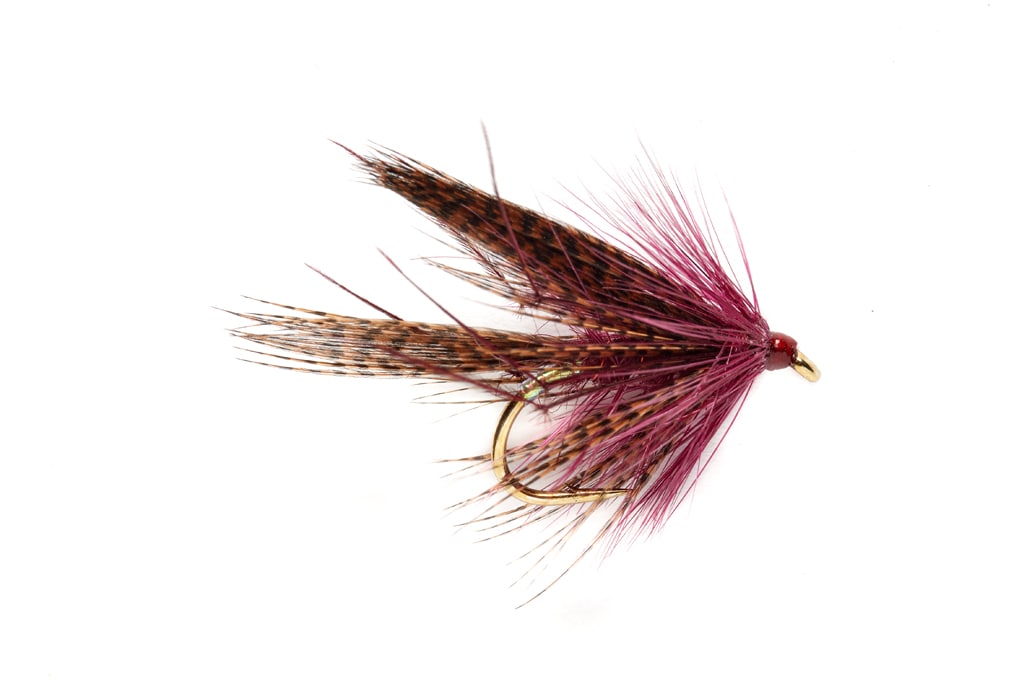 McPhail Leggy Dabbler Claret