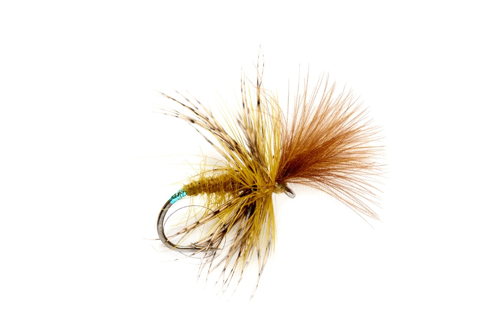 McPhail Grunter Olive