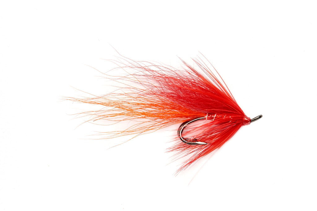 Stokoe's Shrimp Red