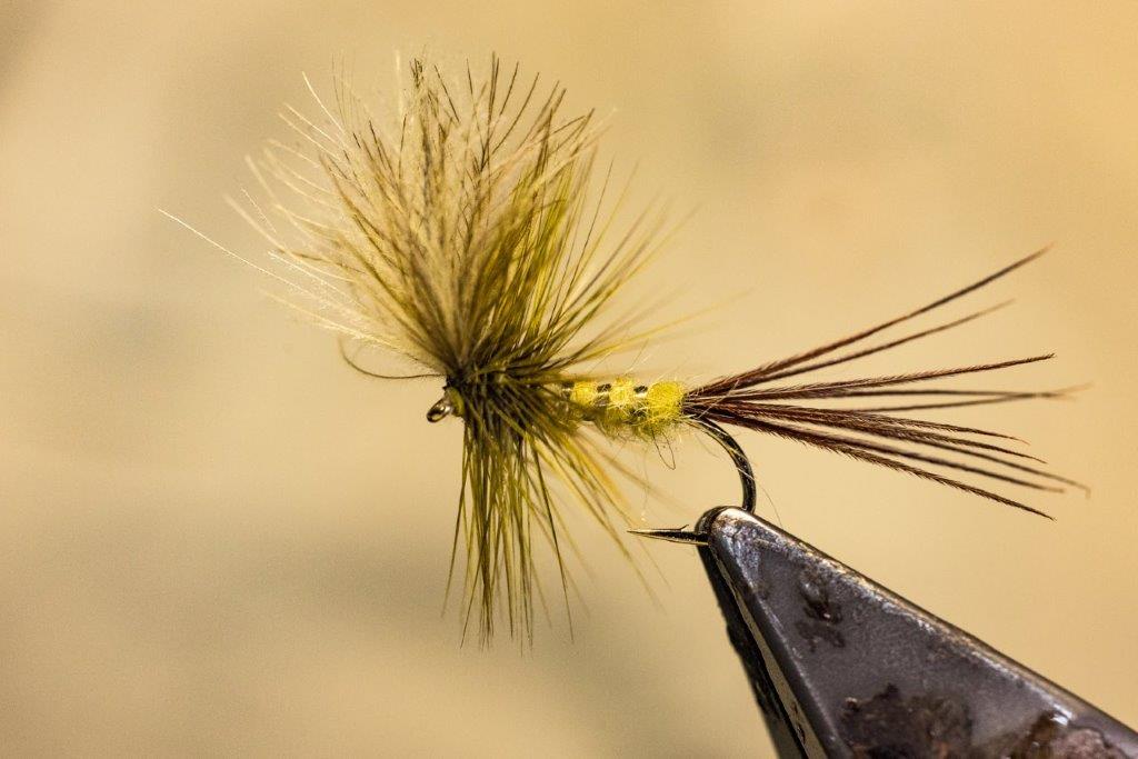 Tom & Jackie Mayfly & Dabbler
