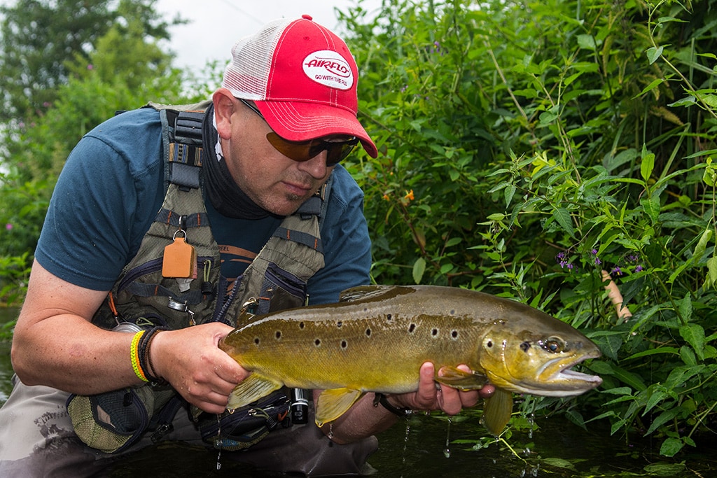 River Trout