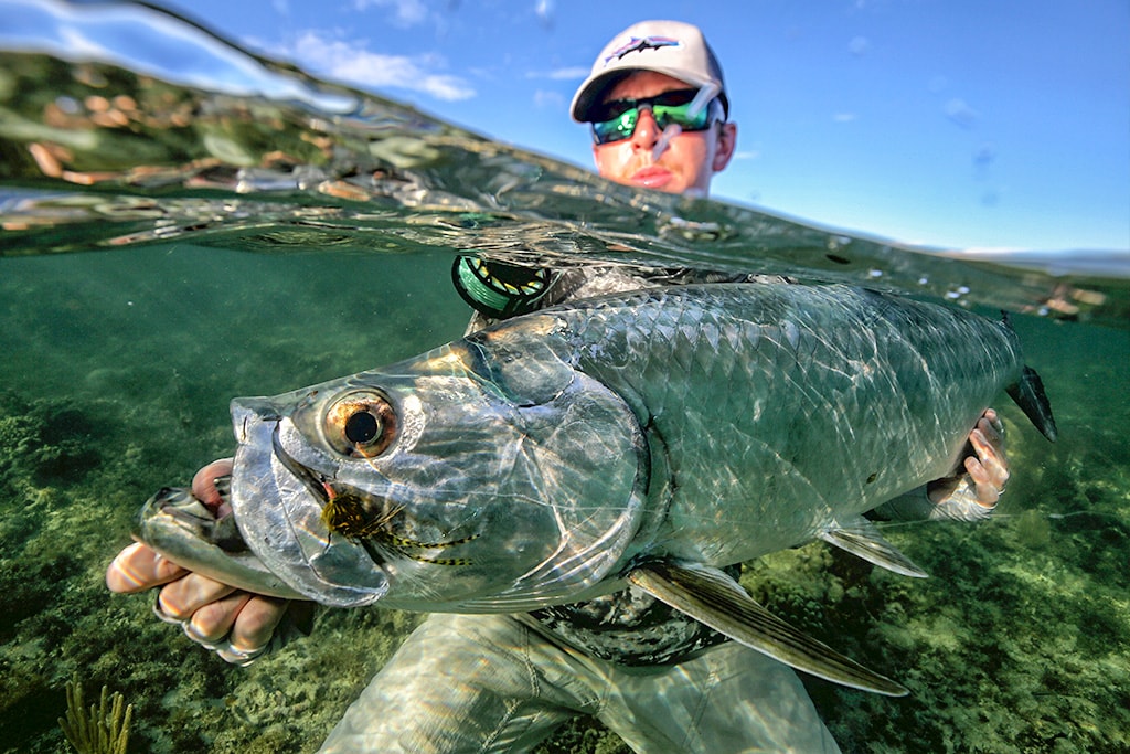 Tarpon