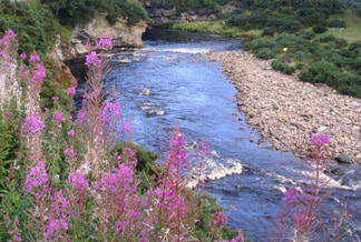 River Brora