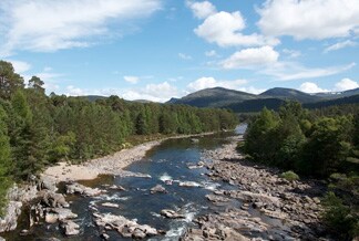 River Dee