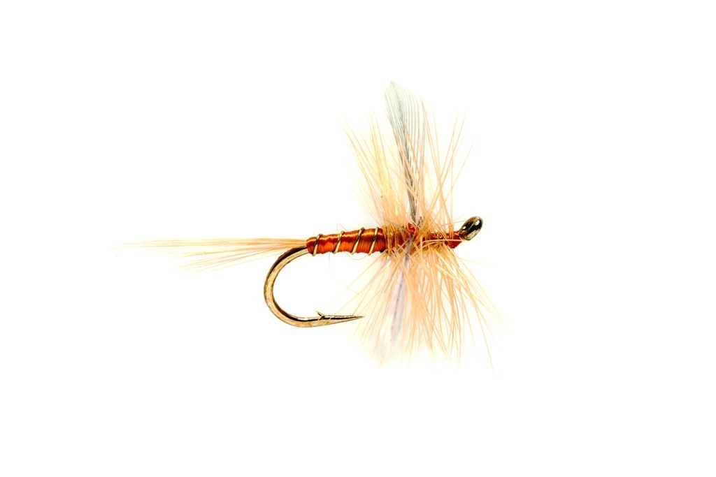 Sherry Spinner
