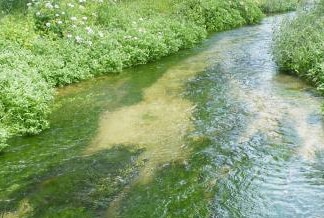 River Itchen