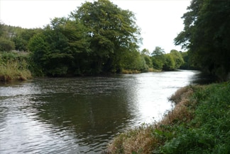 River Taw