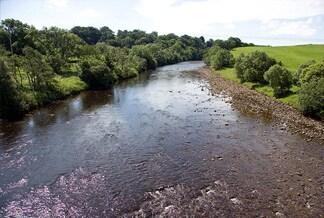 River Tyne