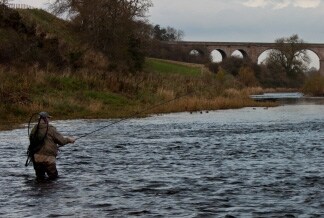 River Teviot