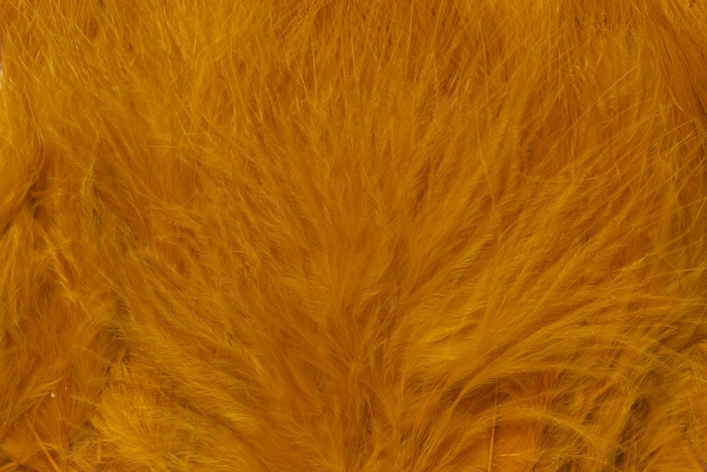 Premium Selected Marabou
