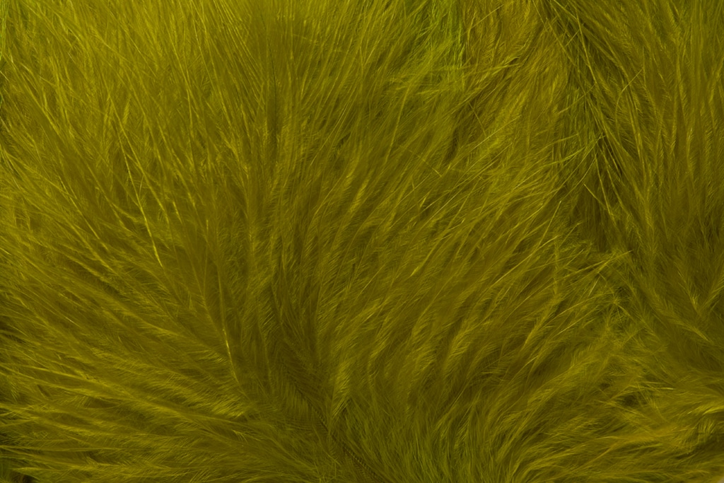 Premium Selected Marabou