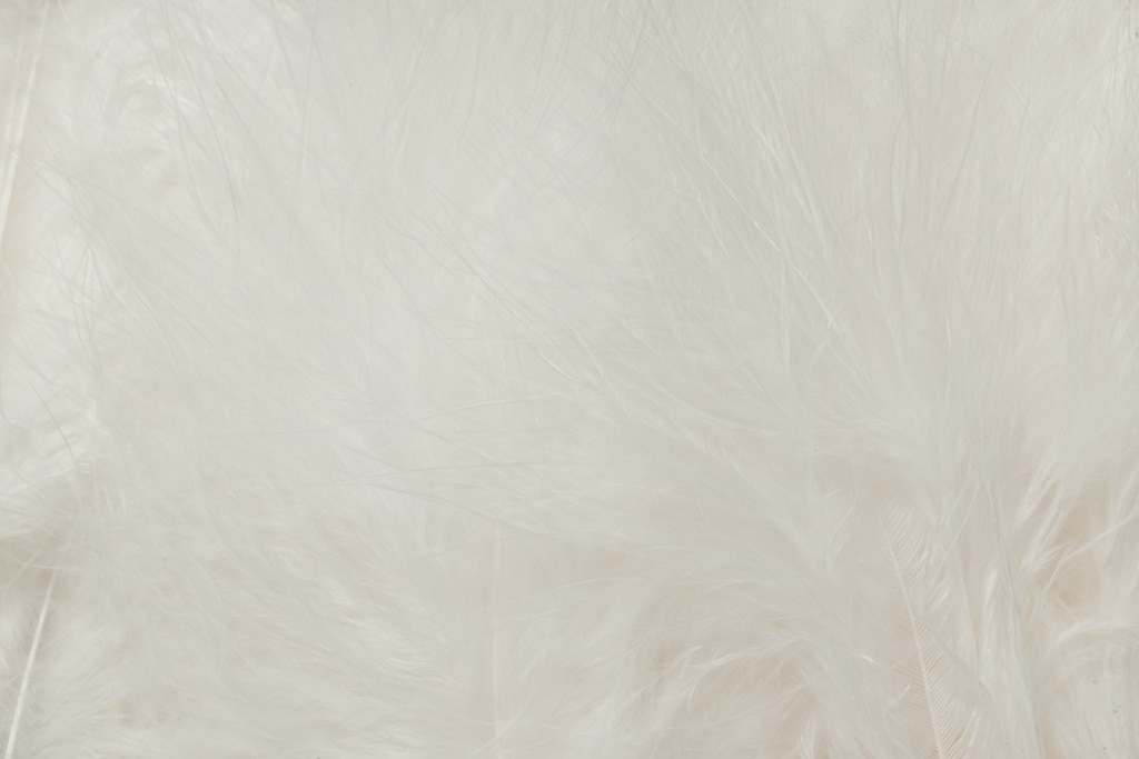 Premium Selected Marabou