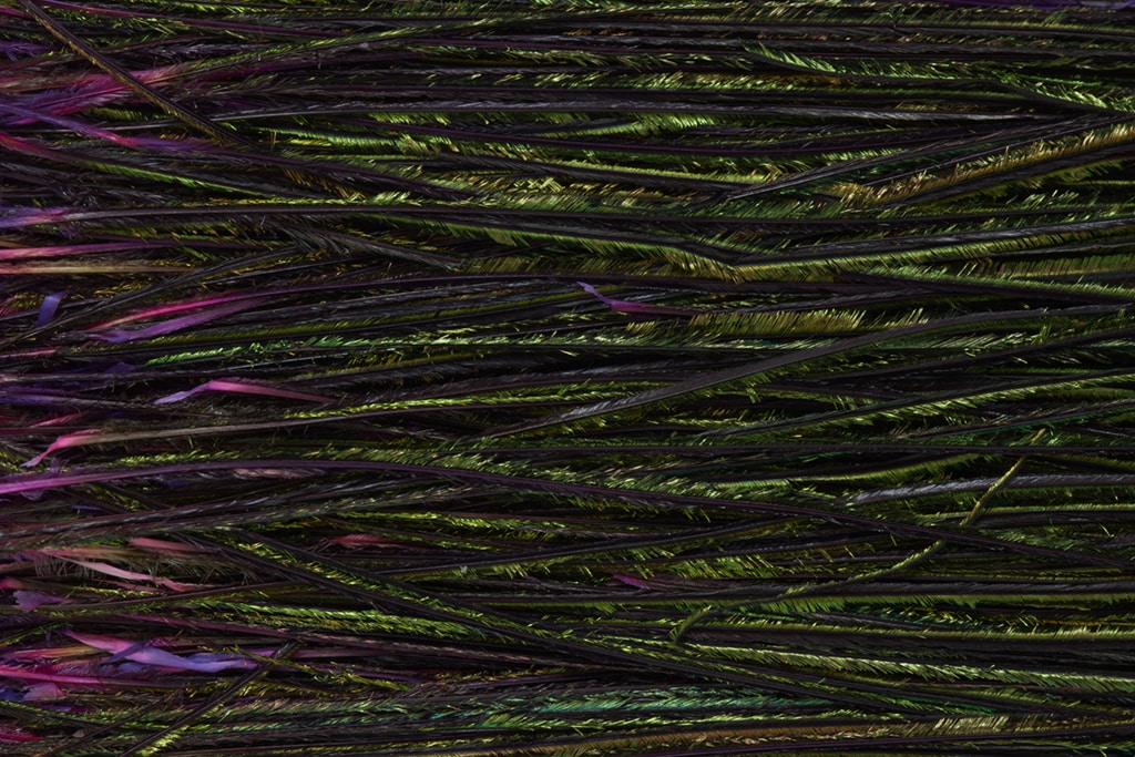 Premium Selected Peacock Herl