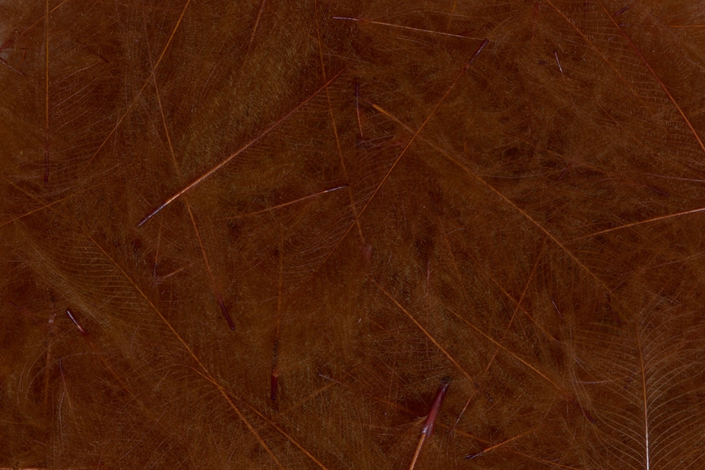 CDC Feathers