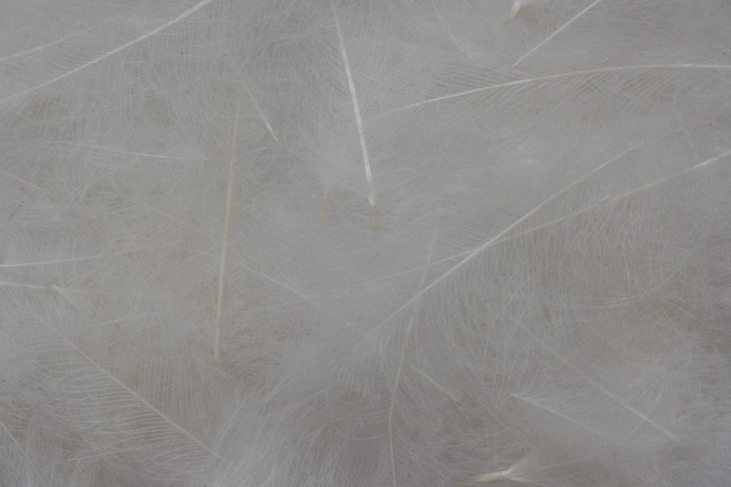 CDC Feathers Bulk