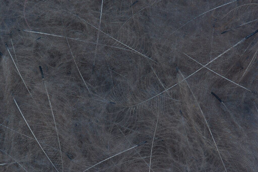 CDC Feathers Bulk