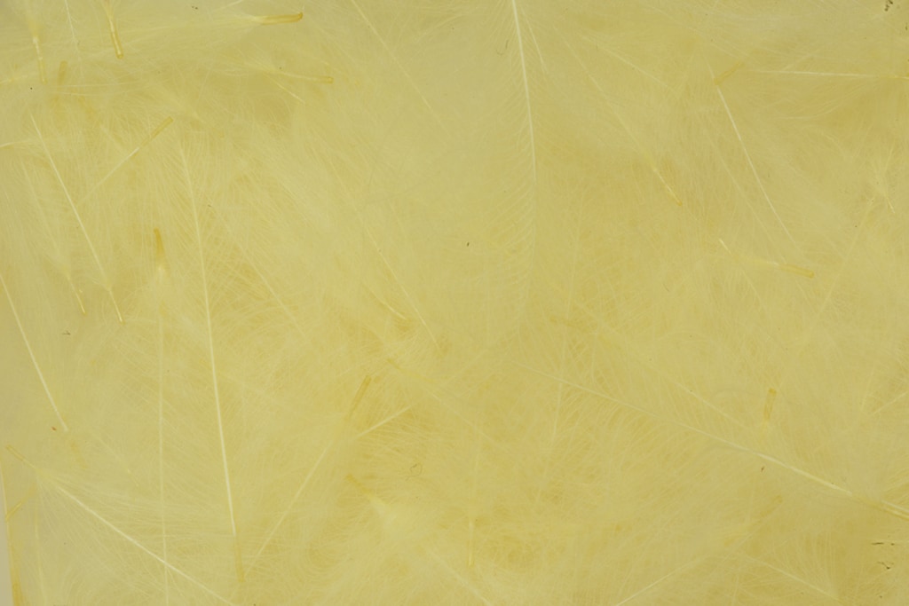 CDC Feathers Bulk
