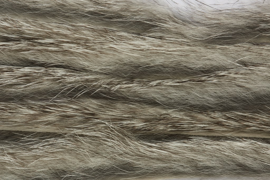 Rabbit Zonker Standard