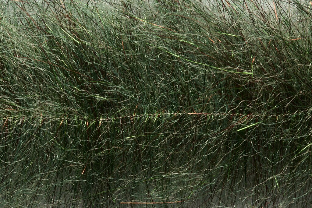 Salty Flash Brush Short