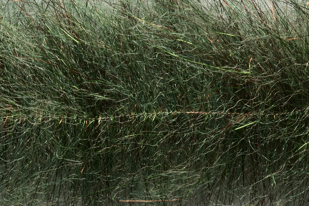 Salty Flash Brush Long