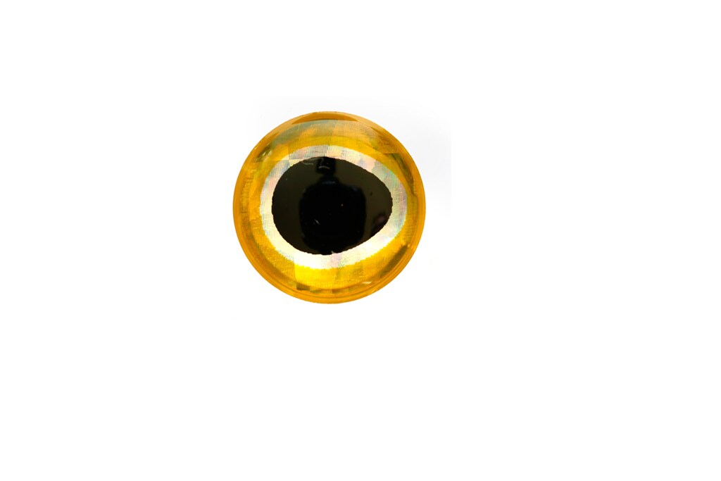 Epoxy Baitfish Eye Gold