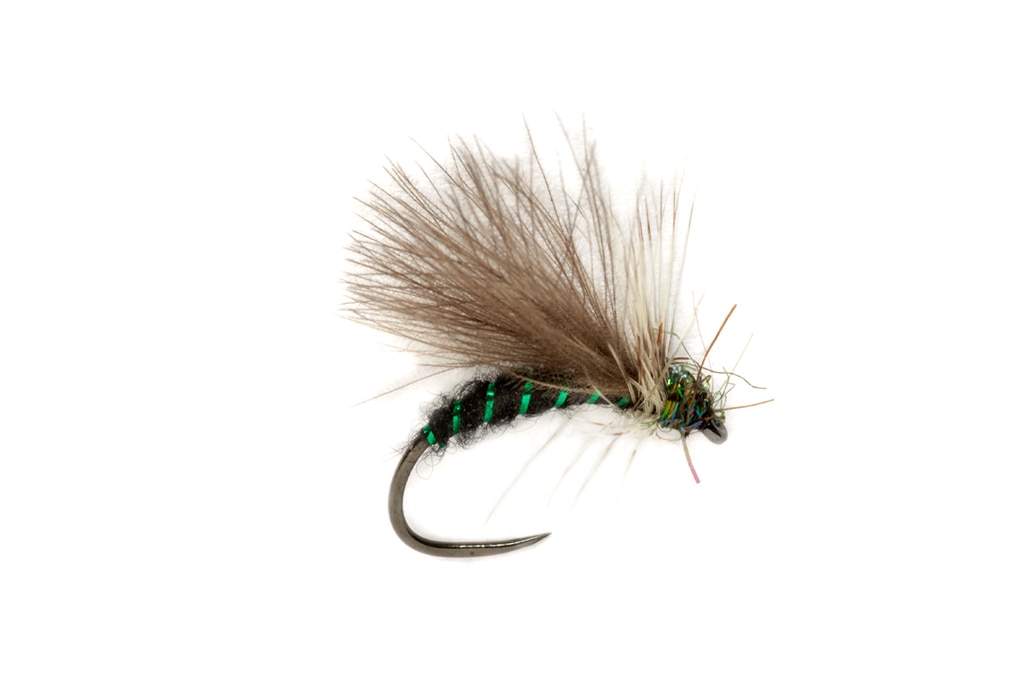 Procter's All Purpose Terrestrial