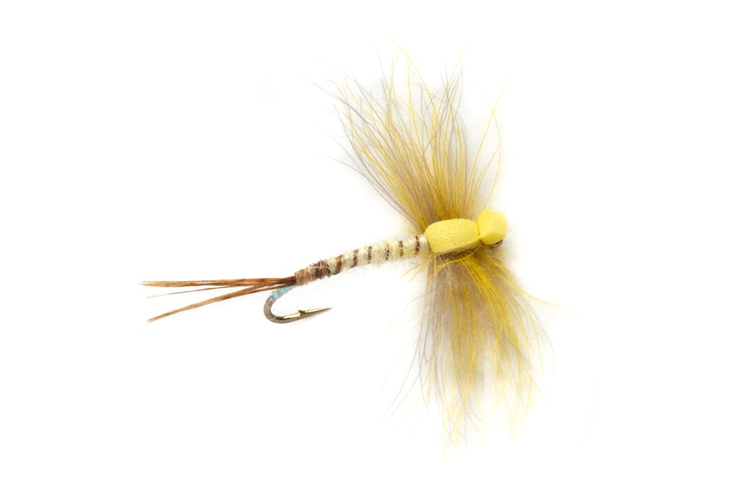 Procter's Stillborn Mayfly