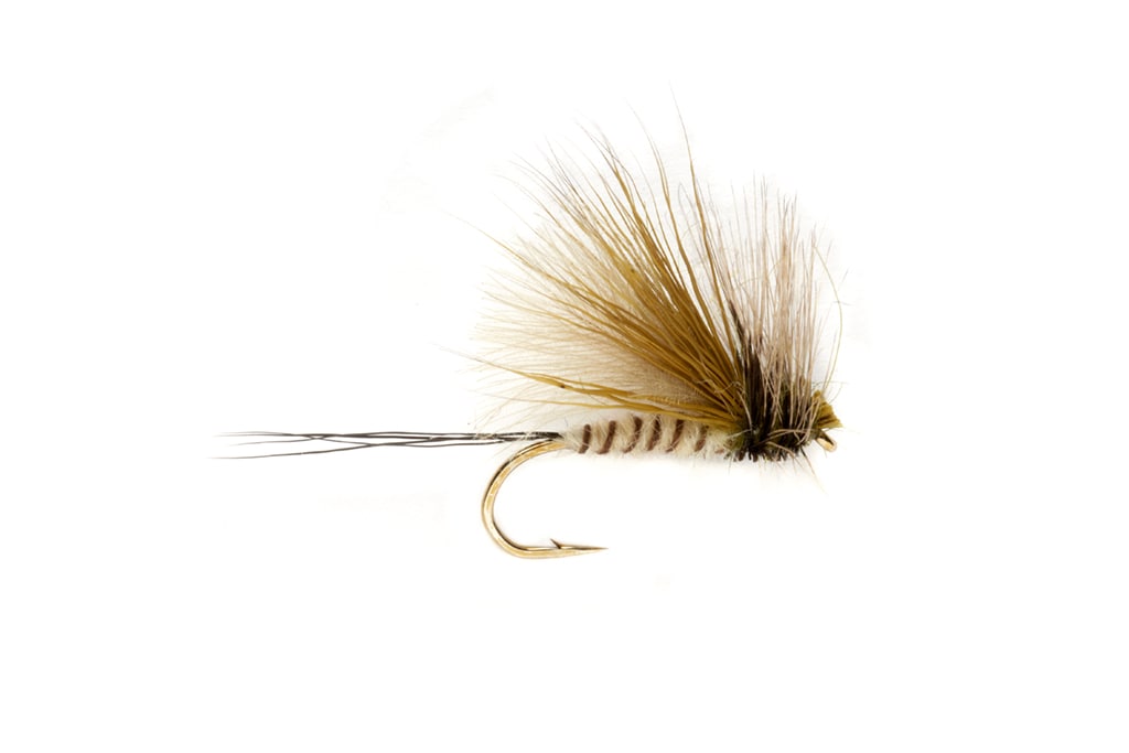 Procter's Active Mayfly Dun