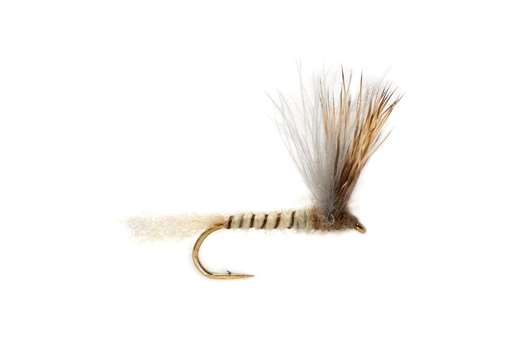 Procter's Stuck Shuck Compara May S10, Dry Flies