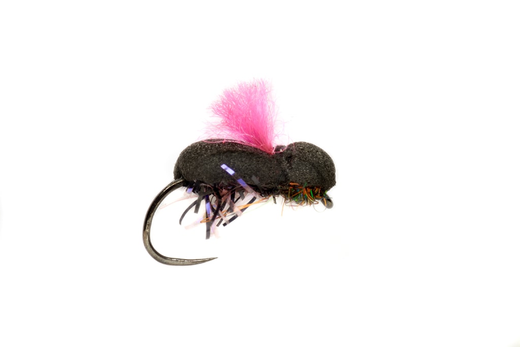 Procter's Target Beetle Barbless Pink