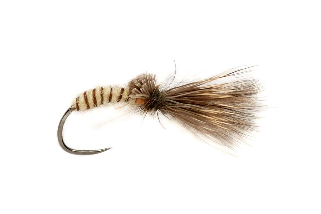 Procter's Caddis Emerger Barbless Cream