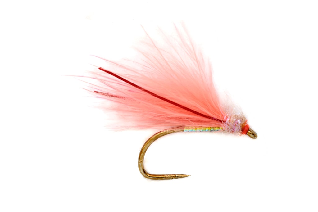 Jenkins' Cormorant Coral Barbless