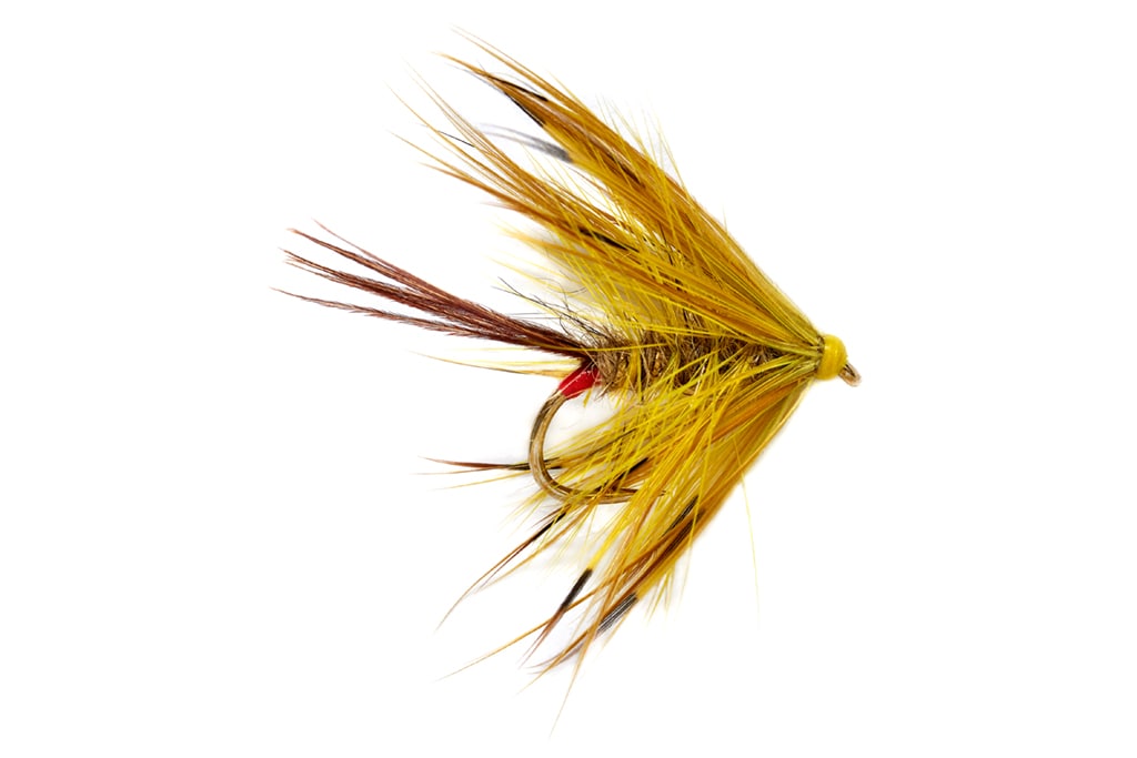 Jackie's Yellow Mayfly