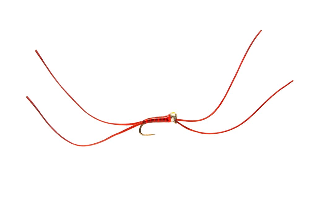 Bung Worm Blood 2.5mm Yellow Spot