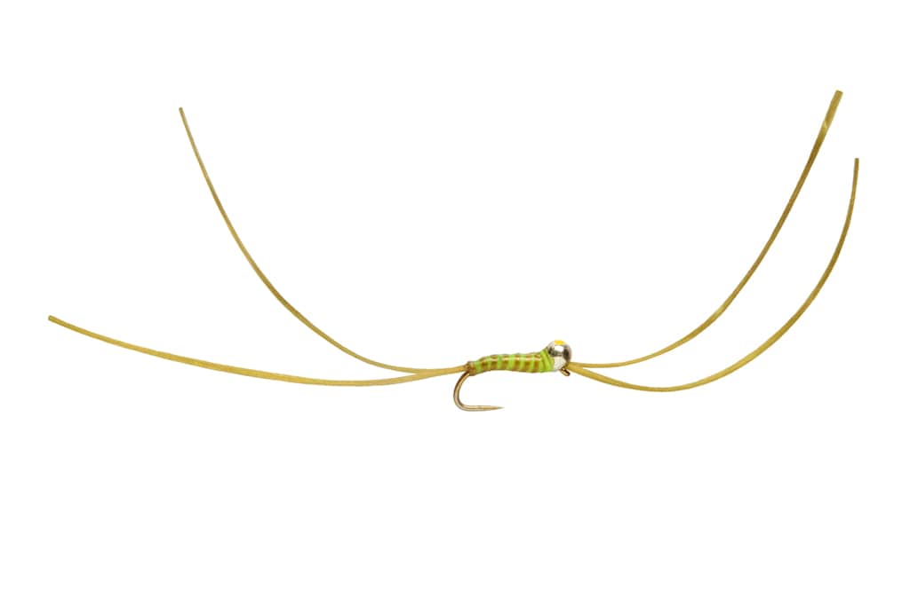 Bung Worm Olive 2.5mm Yellow Spot