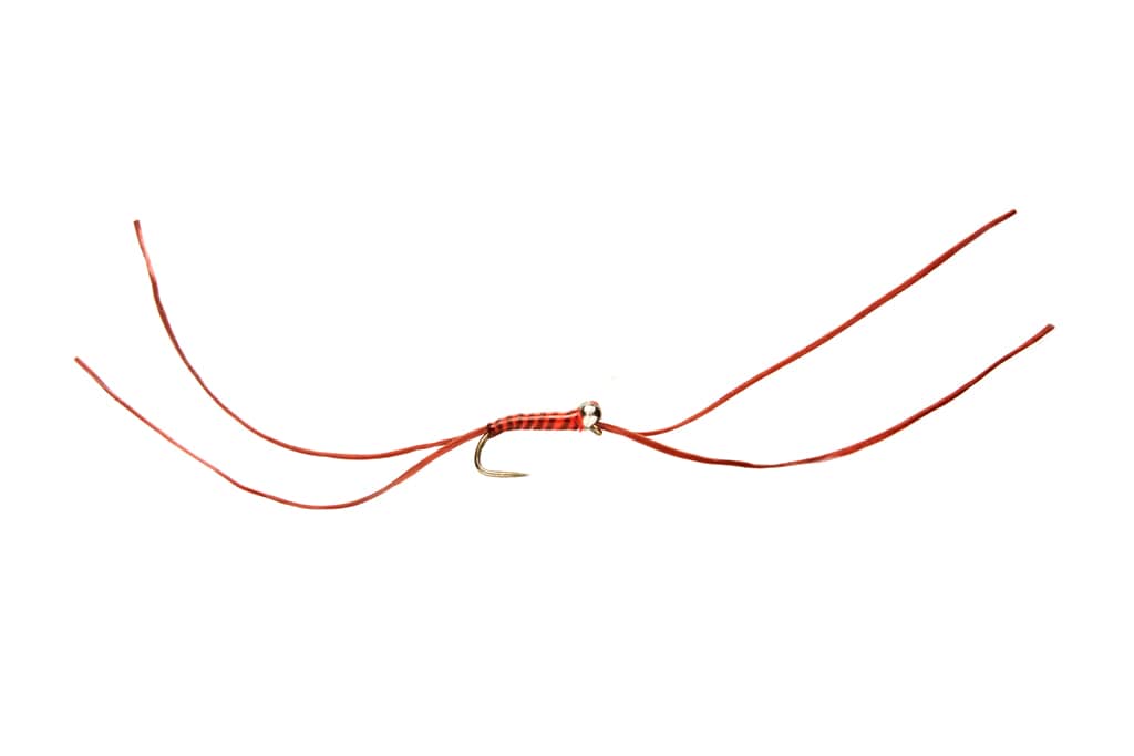 Bung Worm Blood 3.0mm Red Spot