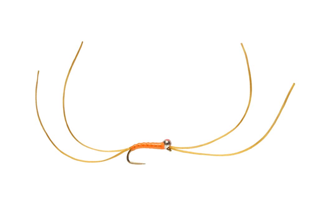 Bung Worm Amber 3.0mm Red Spot