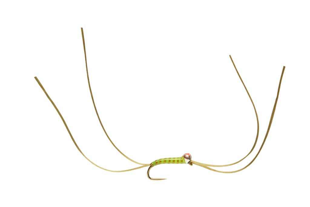 Bung Worm Olive 3.0mm Red Spot