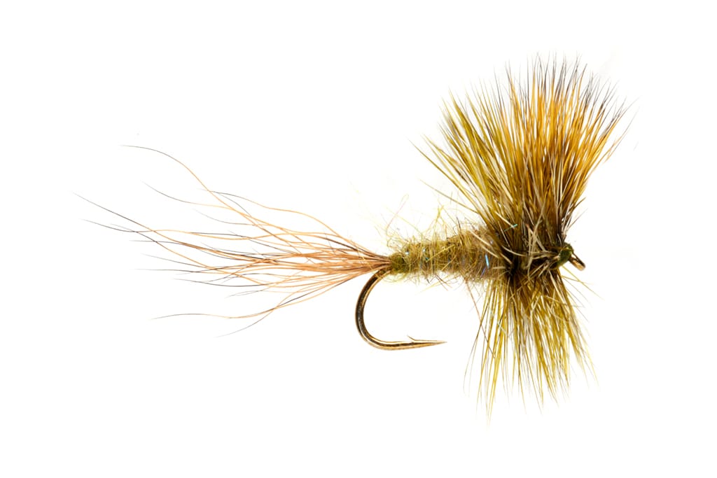 Jackie's Mask Mayfly