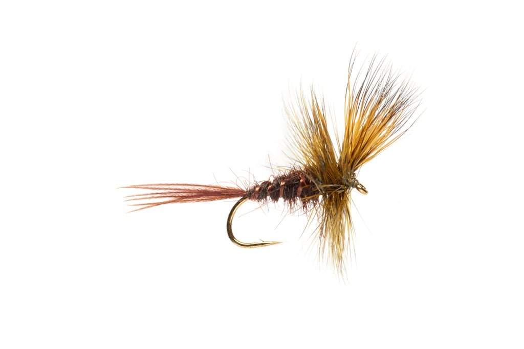 Jackie's Dark Olive Mayfly Dun