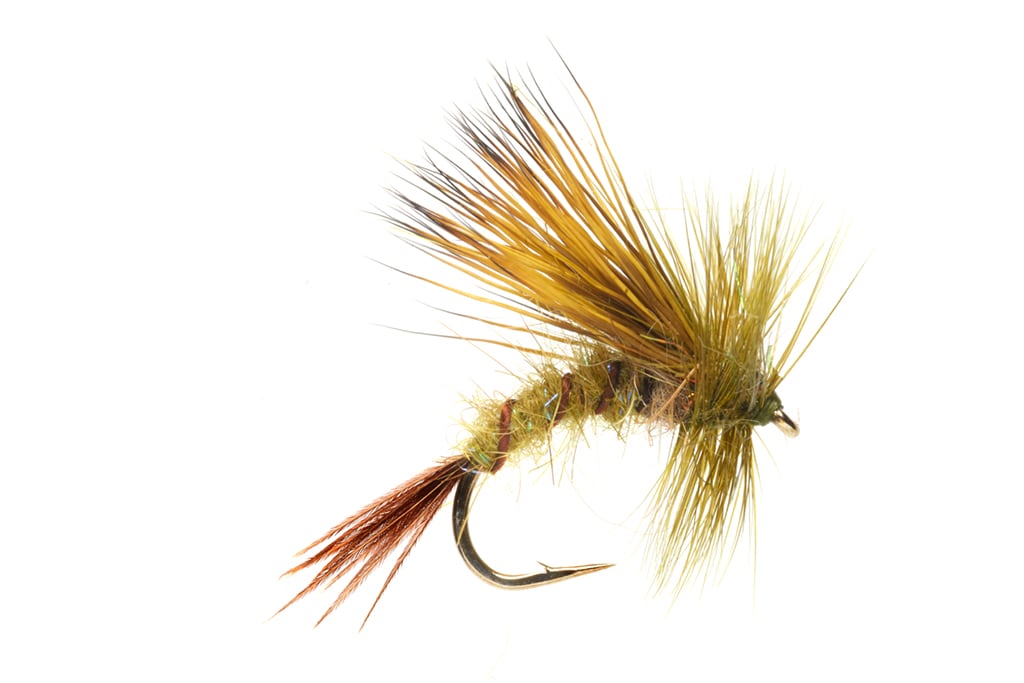 Jackie's Corrib Mayfly Emerger