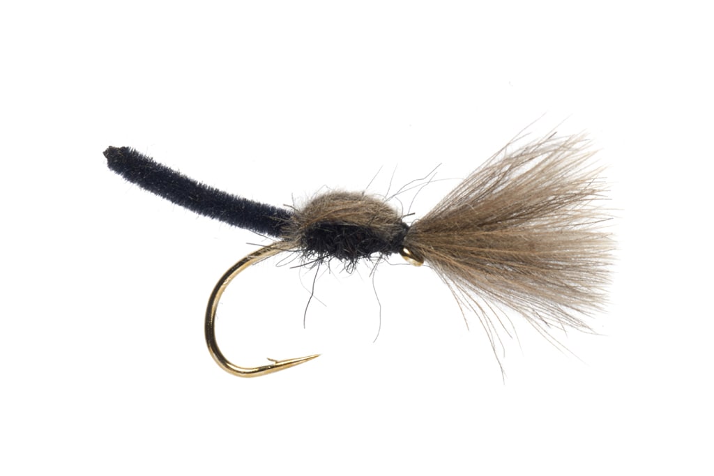 Jackie's Black Palomino Shuttlecock