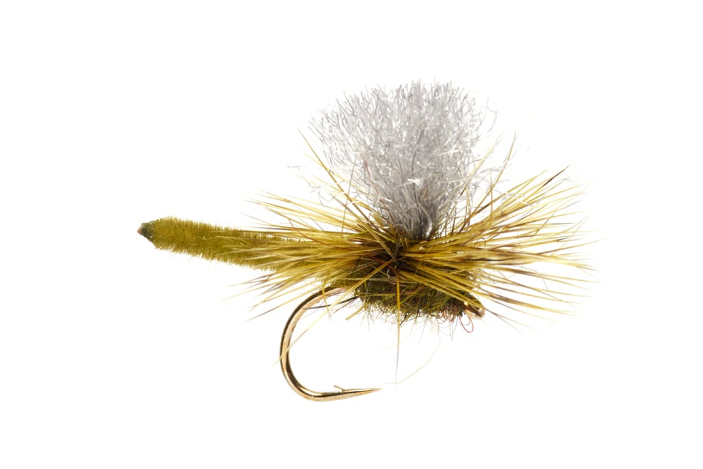 Jackie's Olive Palomino Parachute