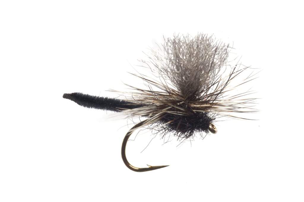 Jackie's Black Palamino Parachute